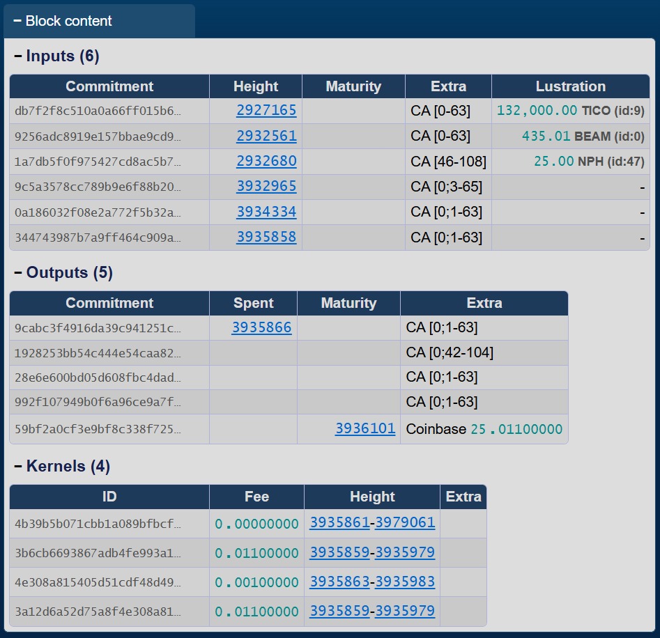 Mock-up of an explorer block view after lustration