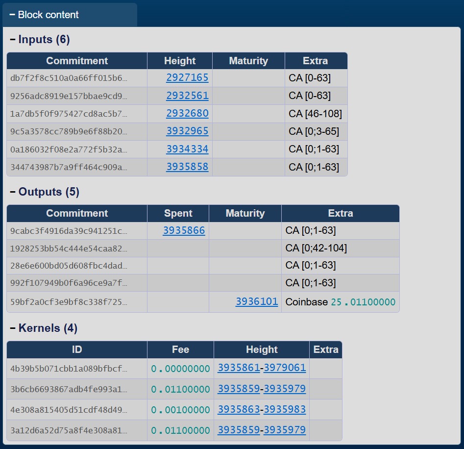 Screenshot of current explorer block view